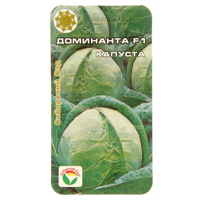 Капуста Доминанта Описание Сорта Фото – Telegraph