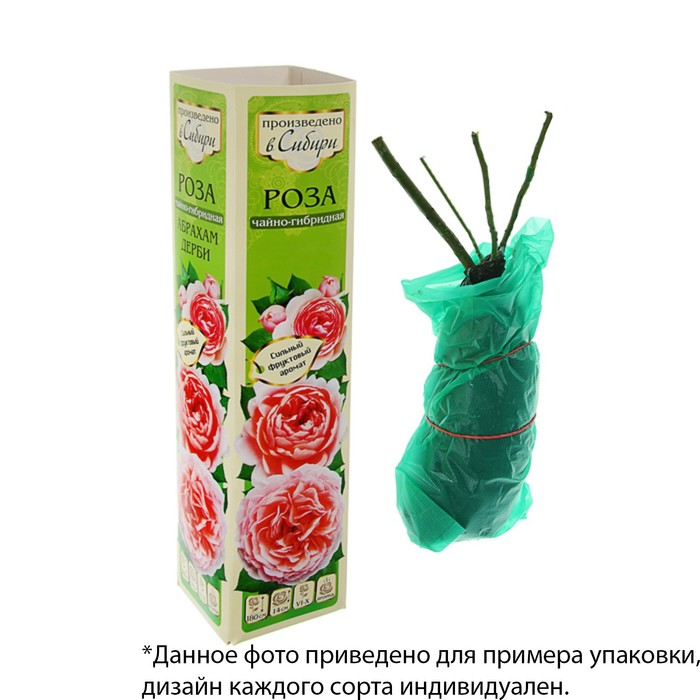 Семена Розы Купить Интернет Магазин