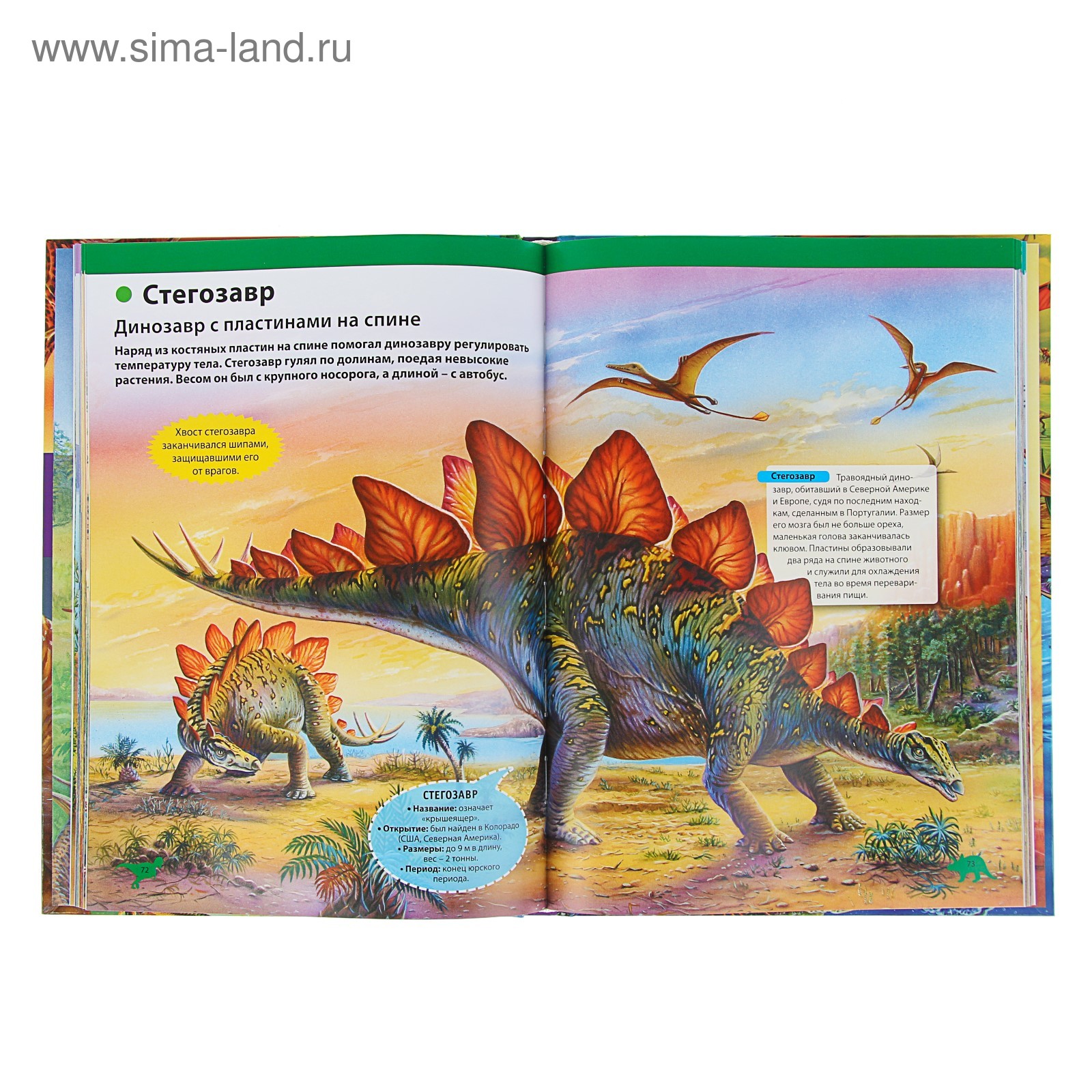 Энциклопедия динозавры Аванта