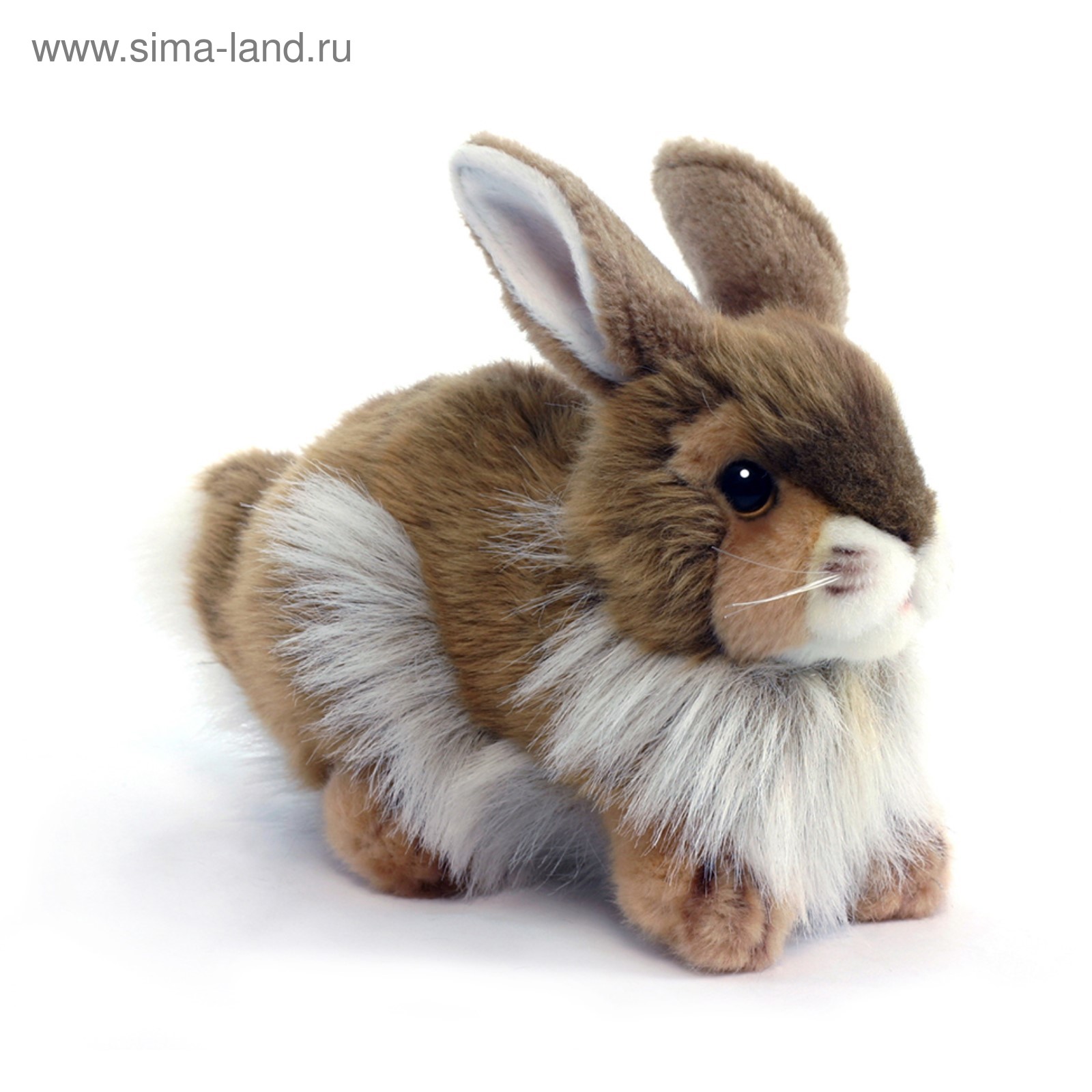Где В Красноярске Купить Кролика Для Детей