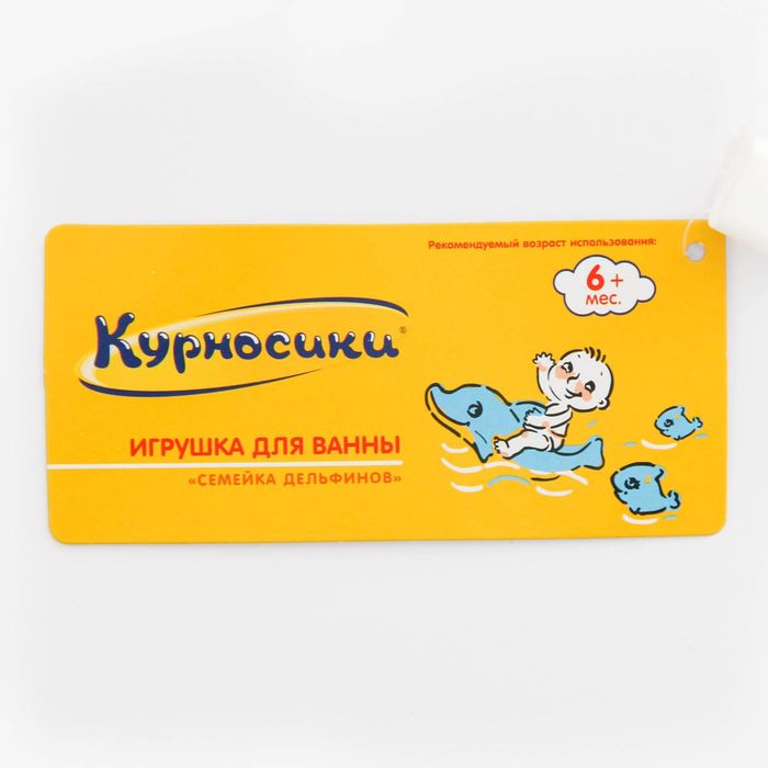 Курносики Бай Интернет Магазин Минск