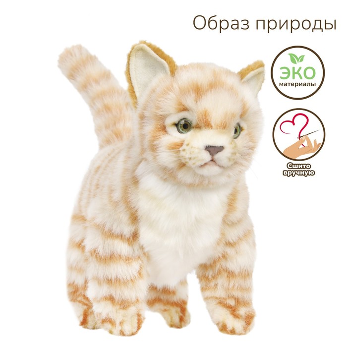 Кошка Где Купить В Екатеринбурге