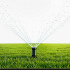 Семена газонных трав и сидератов