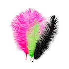 Category Name Feathers