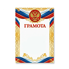 Дипломы с медалью
