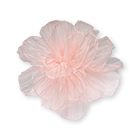 Броши, булавки ЕОНК  большой выбор товаров оптом и в розницу по низким ценам с доставкой по России