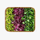 Микрозелень