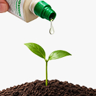 Стимуляторы, активаторы роста