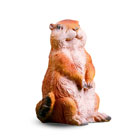 Суслики, сурки