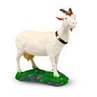 Домашний скот