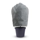 Всё для осеннего сада