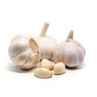 Посадка луковичных