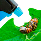 Средства от садовых вредителей