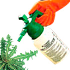 Средства от сорняков