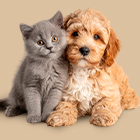 Косметика для животных