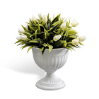 Для озеленения офиса