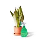 Уход за растениями