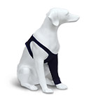 Ветеринария и груминг