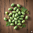 Мелотрия ЕОНК  большой выбор товаров оптом и в розницу по низким ценам с доставкой по России