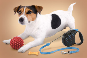 Products for Dogs
