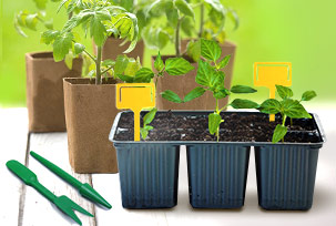 Goods for Seeding