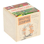 экокуб_виноград