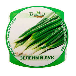 лук