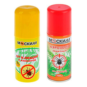 описание_картинки