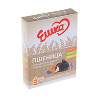 Пшеница