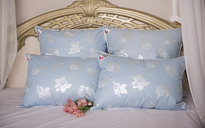 описание_картинки