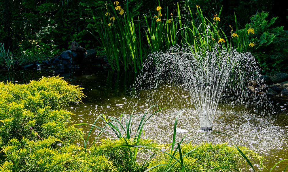 Декоративный пруд с фонтаном для сада - 63 фото