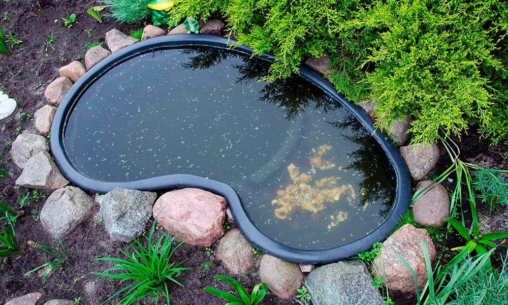 Как сделать пруд своими руками из пленки на участке в саду?