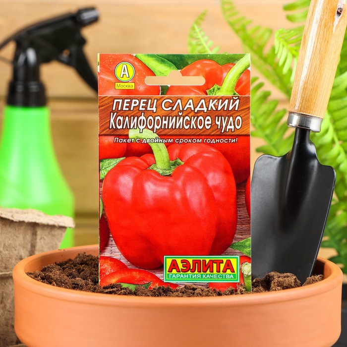семена перца