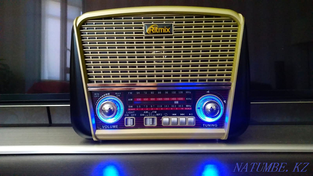 Ritmix RPR-065 Ritmix RPR-065