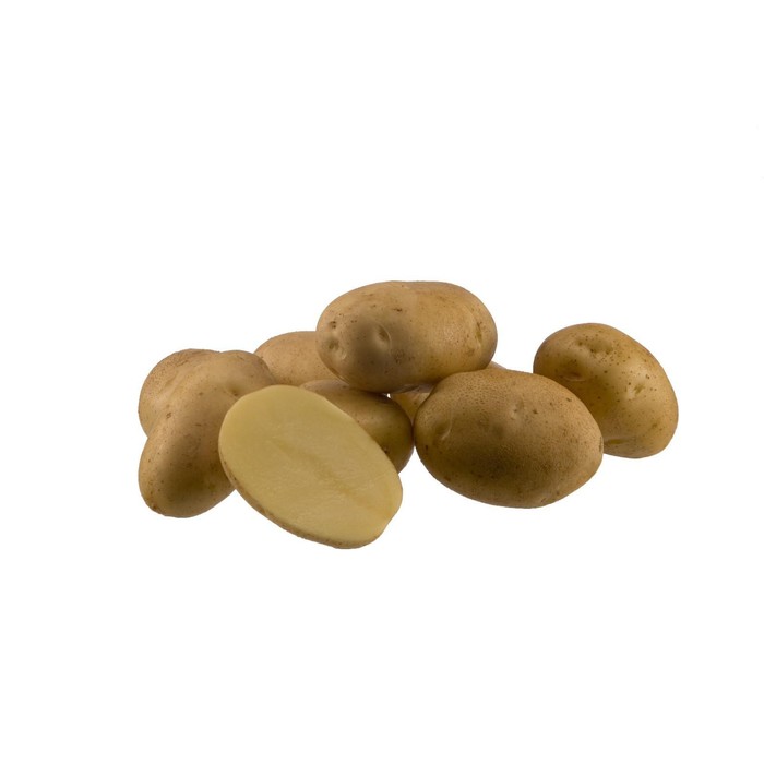 картофель сорта