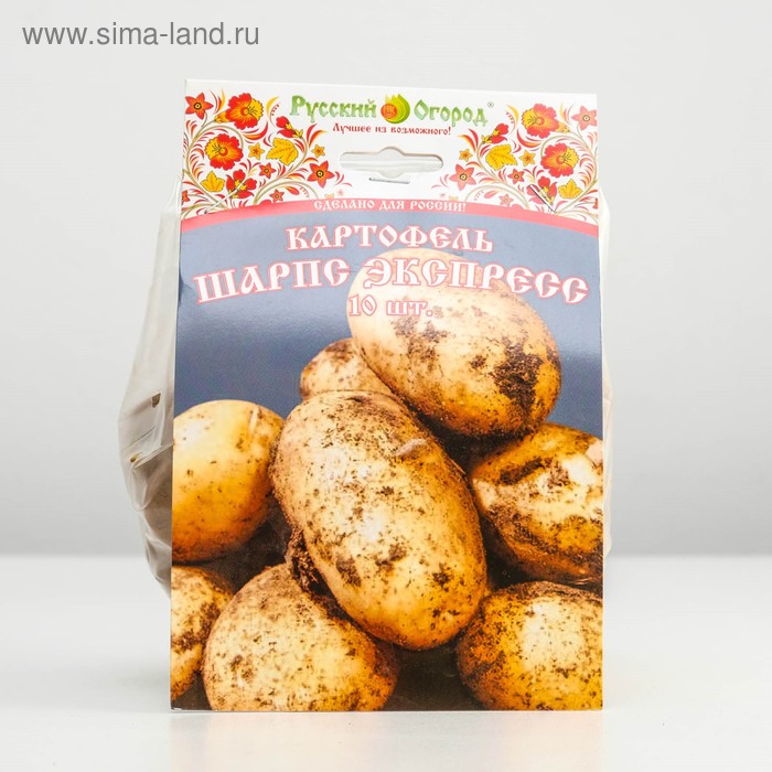 картофель сорта