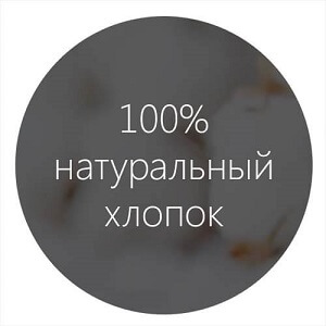 описание_картинки