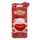 Именной мишка "Софья" Именной мишка "Софья"