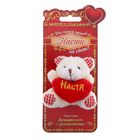 Именной мишка "Настя" Именной мишка "Настя"