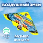 Воздушный змей «Птица», с леской - фото 79032987