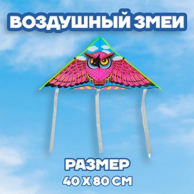 Воздушный змей «Сова», с леской в Донецке