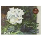 Планшет для акварели А3, 20 листов "Белая роза", блок 260 г/м², цвет палевый лён - фото 6557211