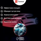 Губка автомобильная TORSO поролоновая, МИКС 190х110х60 мм 1280368 Губка автомобильная TORSO поролоновая, МИКС 190х110х60 мм 1280368