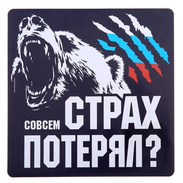 Bear fear. Наклейка медведь. Наклейка медведь на машину. Медведь наклейка на стекло автомобиля. Медведь на машинугаклейка.
