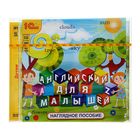 Английский для малышей. Наглядное пособие (аудиокнига) Английский для малышей. Наглядное пособие (аудиокнига)