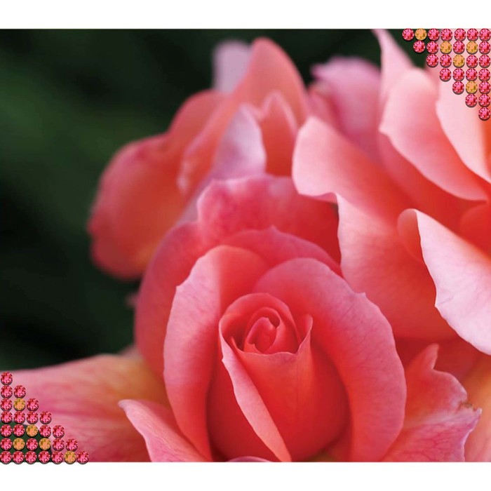 Алмазная вышивка с частичным заполнением &quot;Розовые розы&quot;, 44 х 33 см
