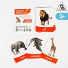 Flashcards, English "Animals of hot countries" 16 PCs.