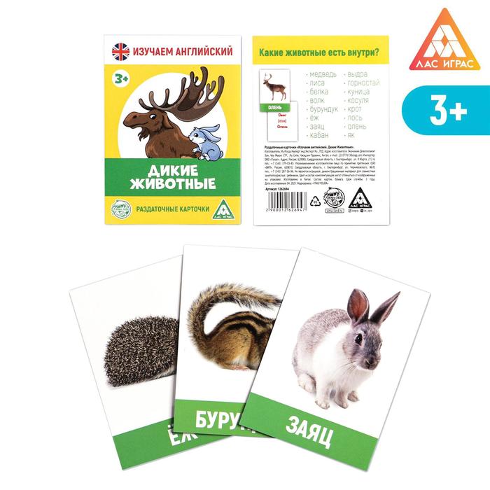 Обучающие карточки «Изучаем английский. Дикие животные», 16 штук, 3+ - фото 79033866