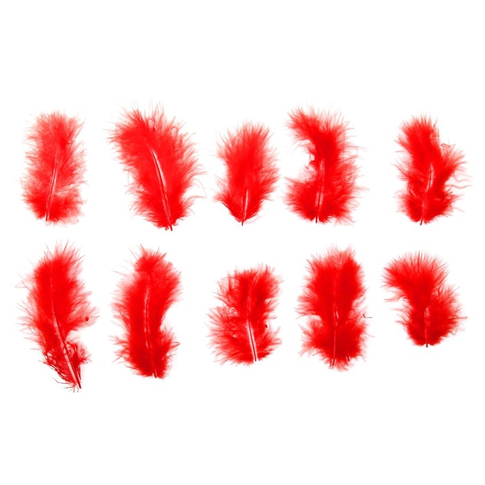 Набор перьев для декора 10 шт, размер 1 шт 10*2 цвет красный