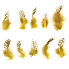 Набор перьев для декора 10 шт., размер 1 шт: 5 × 2 см, цвет жёлтый с коричневым